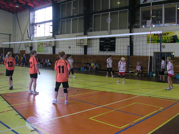 Volejbal