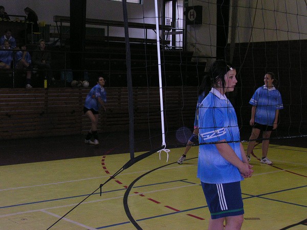 Volejbal