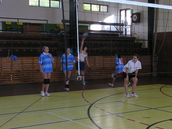 Volejbal