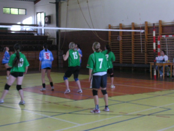 Volejbal