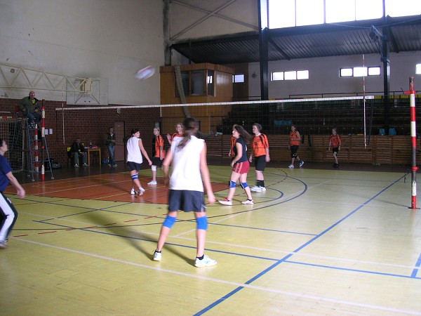 Volejbal
