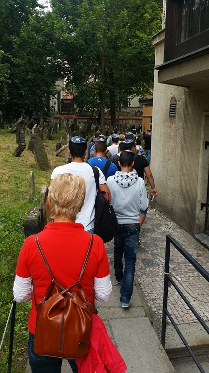 Pod Davidovou hvězdou